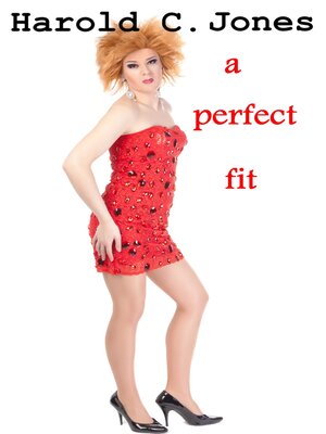 cover image of A Perfect Fit